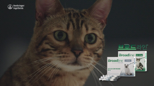 사진= 브로드라인